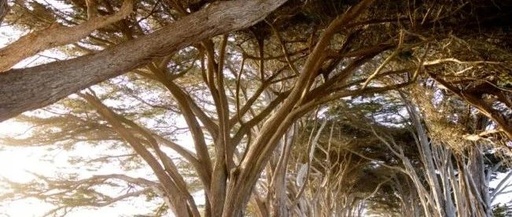 My Three Years in Yanjiao