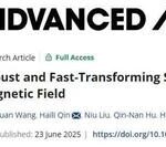 Professor Yu Shuhong, Professor Cong Huaiping, and Others in Adv. Mater.: Soft Microrobots Driven by Low Magnetic Fields