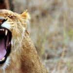 Chinese Professor's Actions Spark Outrage After Linux Kernel Blacklists University for Submitting Vulnerabilities