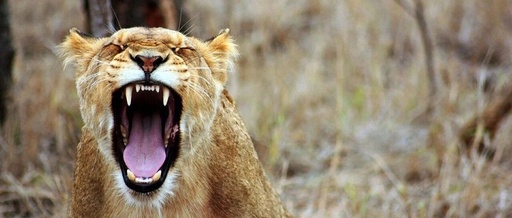 Chinese Professor's Actions Spark Outrage After Linux Kernel Blacklists University for Submitting Vulnerabilities