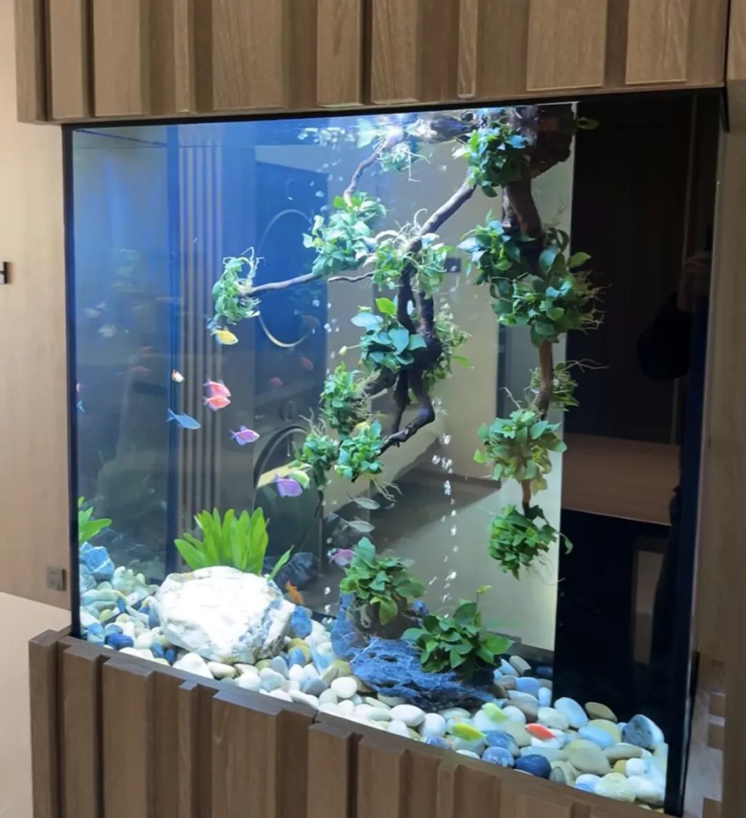 Custom Embedded Aquarium? Here Are Key Points to Discuss with Your Designer in Advance! (Aesthetic and Safety Considerations)