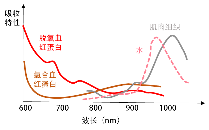 Optical Biosensors: From Fingerprint Recognition to Electronic Skin