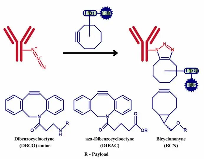 ADC and Click Chemistry