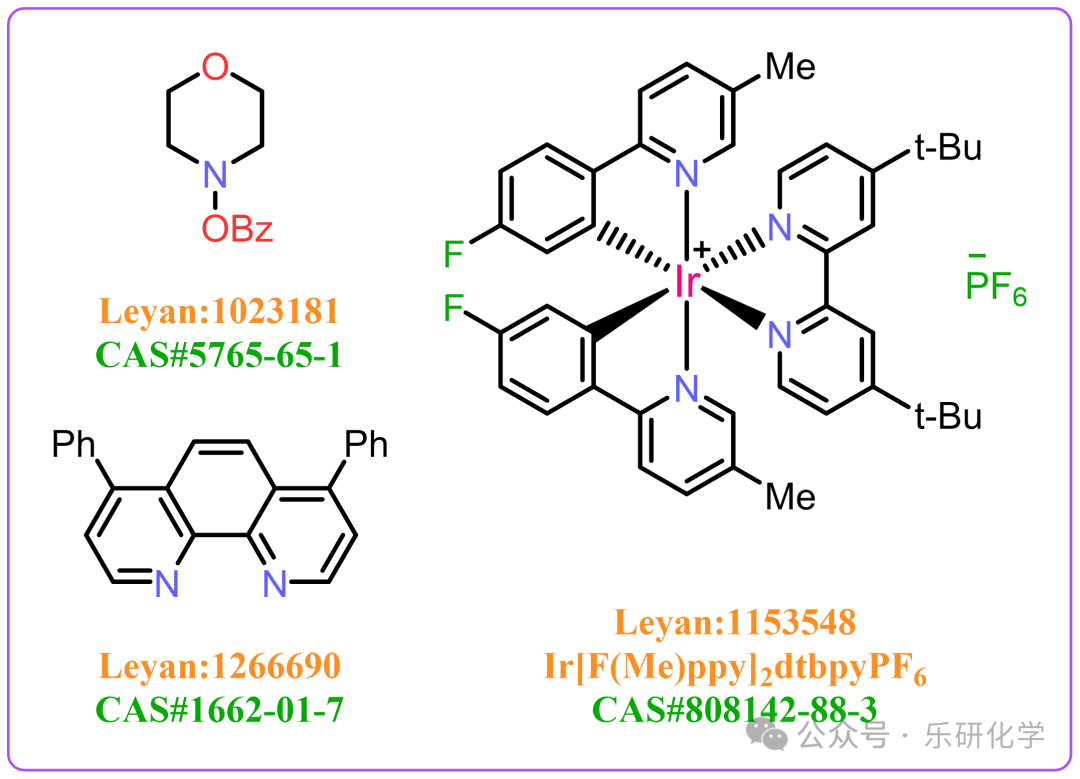 Photocatalytic N-Alkylation
