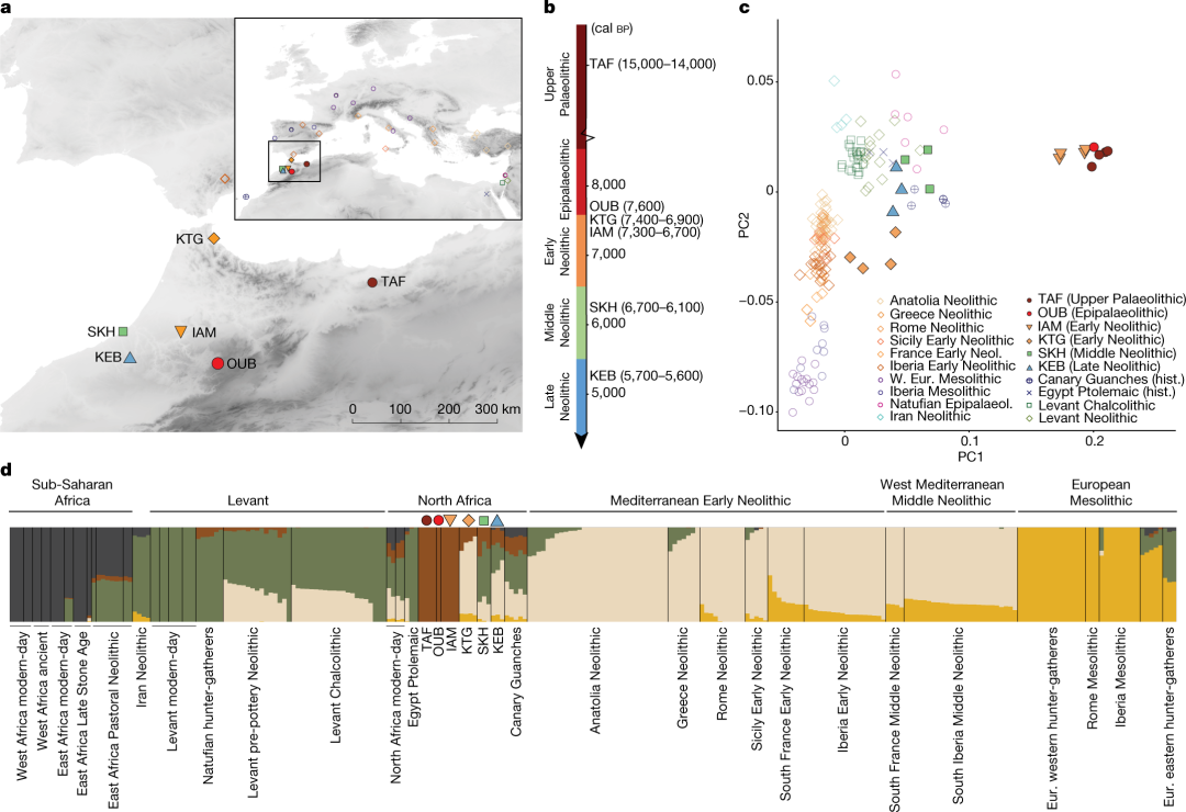 How to Use MATLAB to Retrieve All Illustrations from Nature (Including Images from 2023-2025)