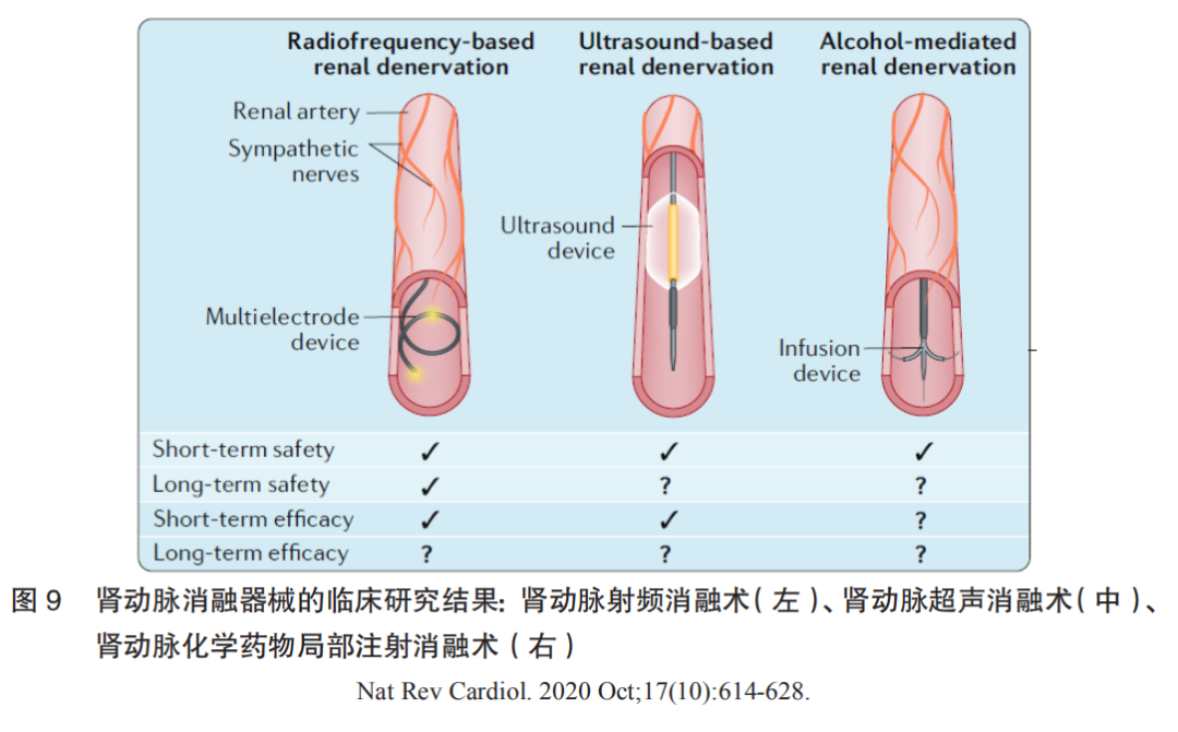 Cardiac Pacemakers and Ablation Devices