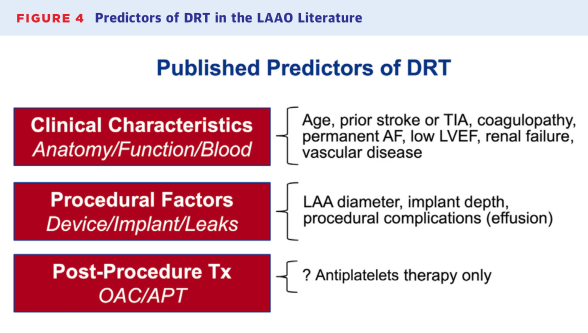 Comprehensive Review: Left Atrial Appendage Occlusion - Progress and Challenges