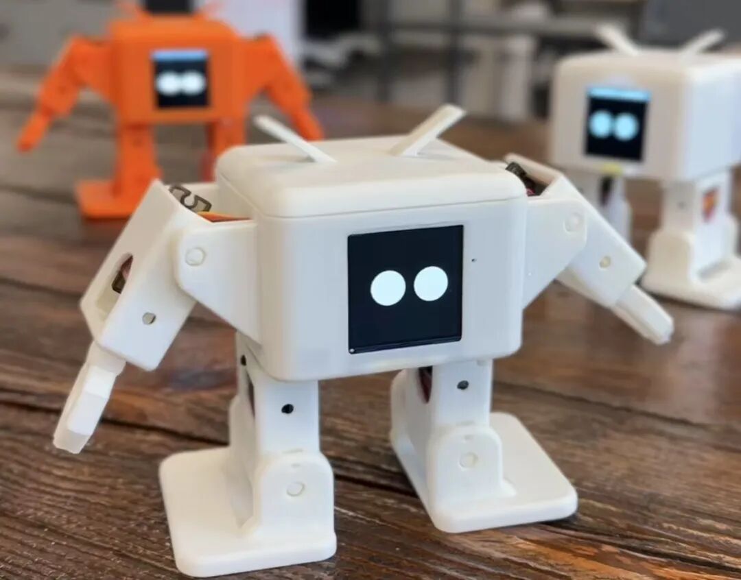 Chengbu: A Youth Team Develops an AI Desktop Humanoid Robot