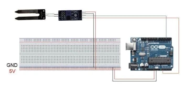 Hands-Free! Create a Simple Smart Watering System