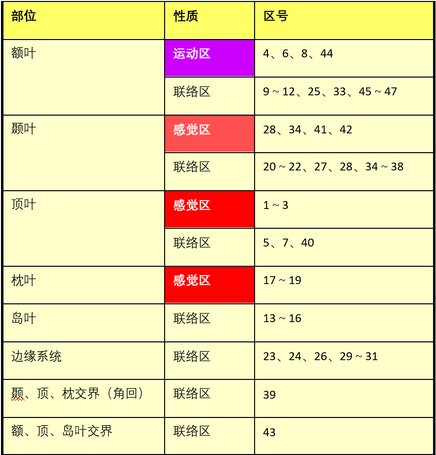 Fundamentals of Neural Rehabilitation: Brodmann Brain Cortex Areas