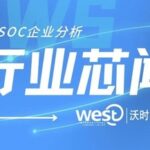 Analysis of Domestic and International Drone SoC Companies