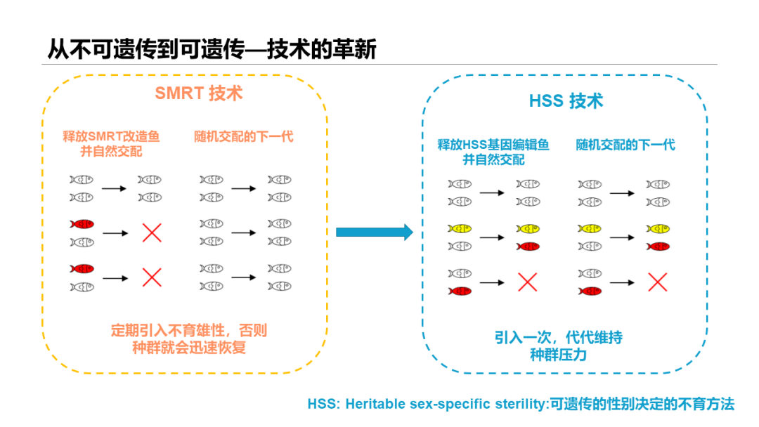 From Chips to Ecosystems! Award-Winning Project Cases in Popular Competition Tracks