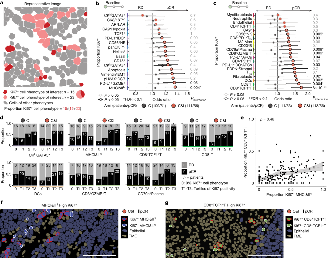 How to Use MATLAB to Retrieve All Illustrations from Nature (Including Images from 2023-2025)