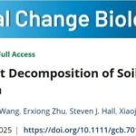 Does Periodic Hypoxia Accelerate SOC Decomposition in Soil?
