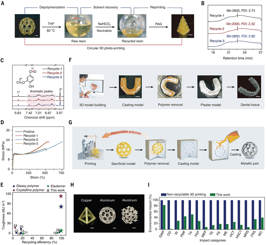 Circular 3D Printing of High-Performance Photopolymers through Dissociative Network Design