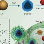 New Strategies for Cancer Treatment Using Copper Ions: Insights from Cuproptosis