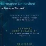 The Performance of Giant Baby ARM CPUs Lags Behind Mobile Chips