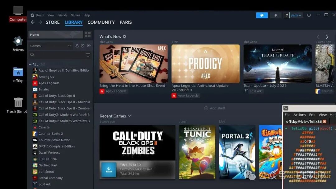 Running Steam Games on RISC-V