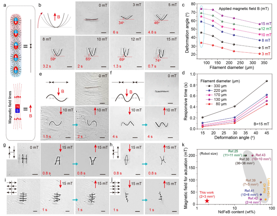 Professor Yu Shuhong, Professor Cong Huaiping, and Others in Adv. Mater.: Soft Microrobots Driven by Low Magnetic Fields