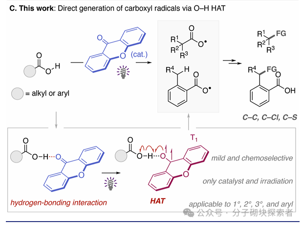 New Breakthrough in Photocatalysis! Direct Conversion of Carboxylic Acids to Radicals, Adding a New Tool for Green Chemistry, Goodbye to Heavy Metals!