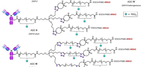 Branch Linkers for ADCs: What Length is Appropriate?