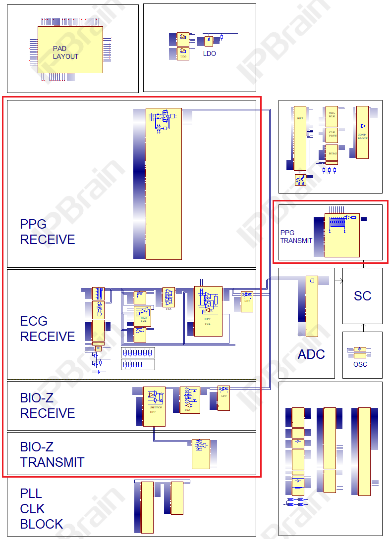 Multi-Functional Health Monitoring: How Texas Instruments AFE4500 Achieves It