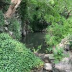 Insights on Learning ADC (250621)