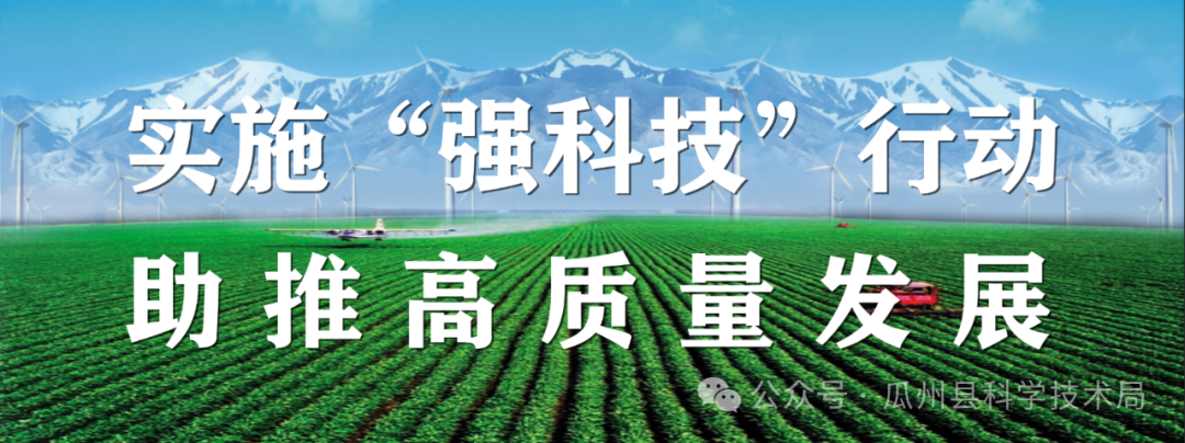 Chinese Scientists Develop the World's Smallest and Lightest Wireless Amphibious Robot