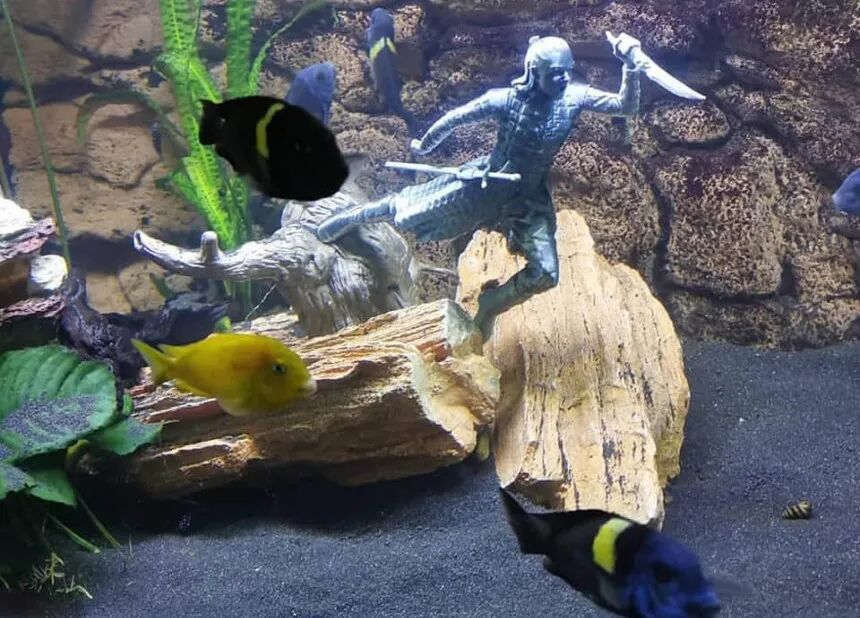 Applications of 3D Printing in Aquariums