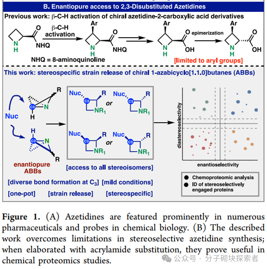Synthesis of Stereocontrolled Azetidine Library via Strain-Release Functionalization of 1-Azabicyclobutanes