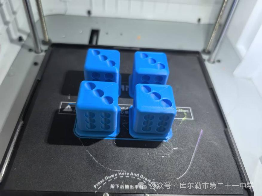 Summary of the 3D Design and Printing Club at the Middle School Level