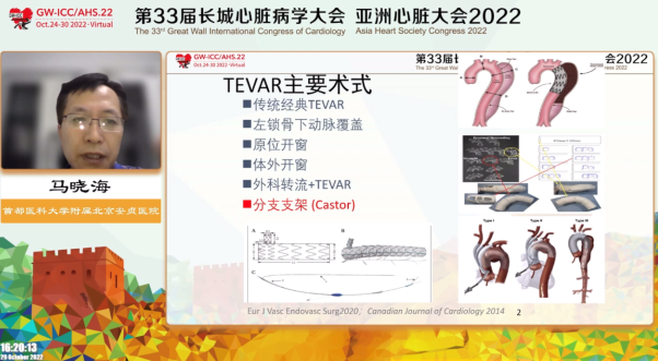 Highlights from the Great Vascular Surgery Forum