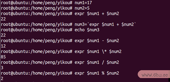 A Beginner's Guide to Shell Programming in Linux