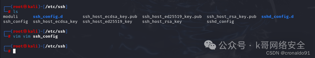 Linux System Administration: Installing Kali Linux on a Virtual Machine
