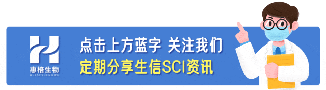 A Novel Stemness-Related lncRNA Signature Predicts Prognosis, Immune Infiltration, and Drug Sensitivity in Clear Cell Renal Cell Carcinoma