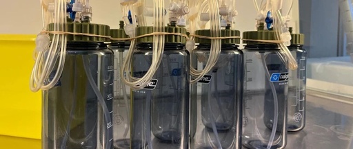 A Proof of Concept Study on Blood Collection and Storage Using 3D Printed Caps and Sterilized 500ml Beverage Bottles - Part 2