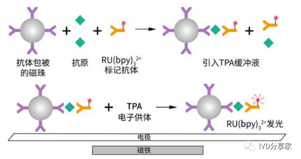 Principles of POCT Technology | Chemiluminescence, Biosensors, Microfluidics, Immunochromatography...