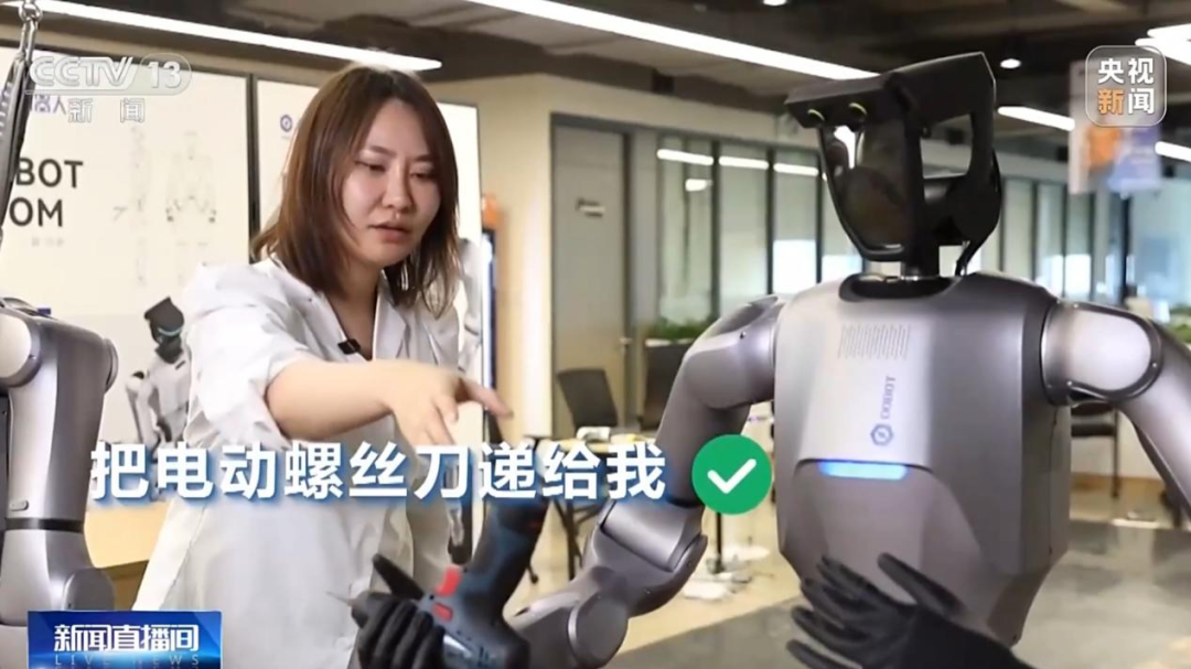 Overview of Humanoid Robot Companies in 2025 (Part 3)