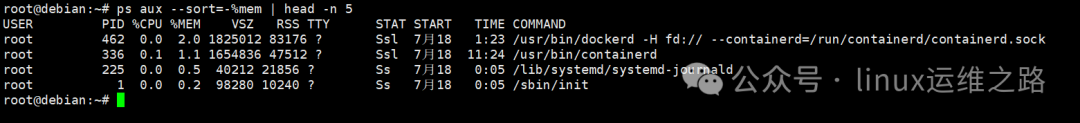 Linux Command Line: A Practical Guide to Mastering the ps Command