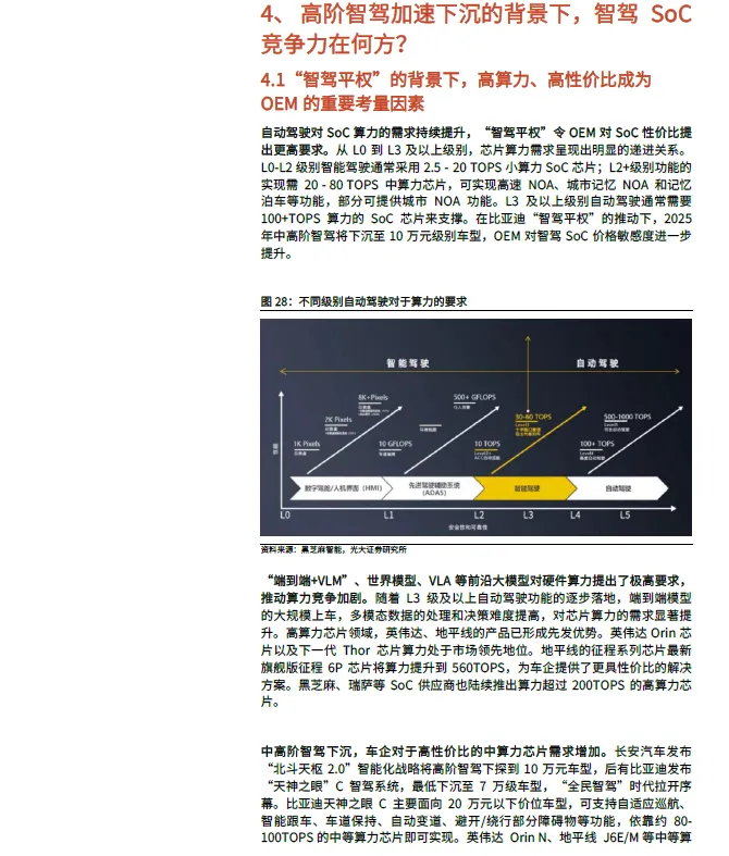 2025 In-Depth Report on Smart Driving SoC Industry