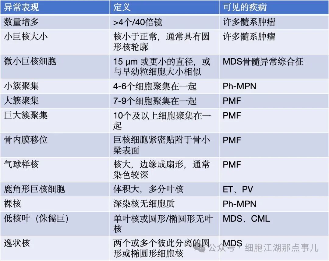 Evaluation of Morphology in Myeloid Neoplasms: ICC Series Part Three