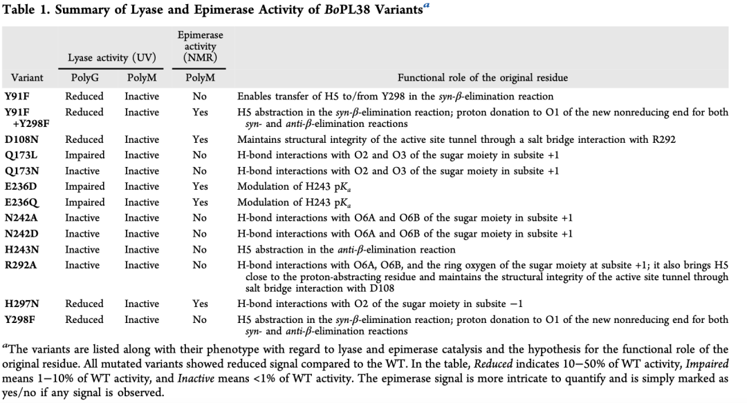 Mechanistic Analysis of a Mixed-Function Polysaccharide Lyase/Epimerase from the Human Gut Microbiota