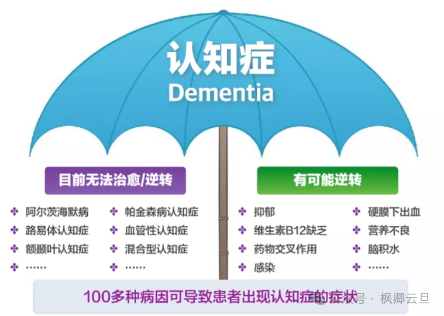 The Dawn of Dementia Care: When AI Robots Enter Fudan Memory Clinic