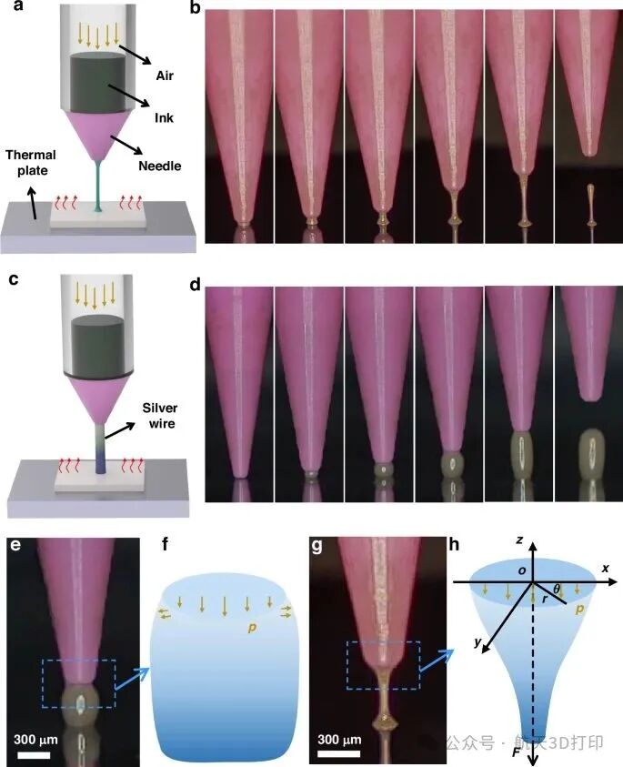 Dalian University of Technology's Wang Dazhi Team Publishes Latest Achievements in 3D Printing Technology for Flexible Circuit Conductive Structures
