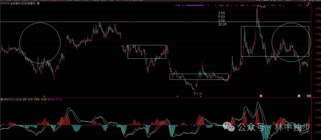 Robot Industry Duel: Who Will Continue the Streak of Success?