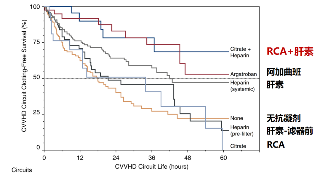 Professor Zhang Ling: Advances and Breakthroughs in Severe Blood Purification Technology