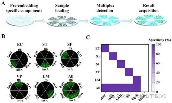 Wide Dynamic Range Multiplex Digital CRISPR Chip for Absolute Quantification of Nucleic Acids