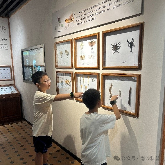 Can a 3D Printing Pen Grow Crops? Unlocking a New Way of "Plowing with One Hand and Creating with the Other"