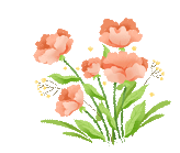 New Tang Village in Dayan Township: Engaging Seniors in Colorful Activities for a Joyful Silver Age Life