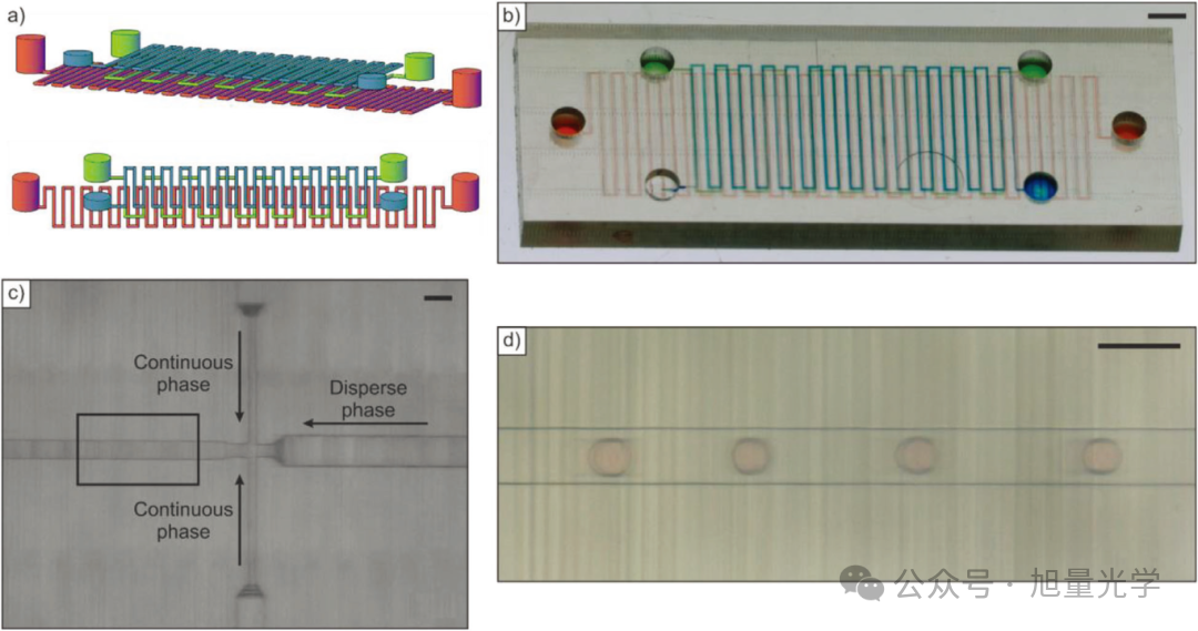 3D Printing Issue 5: Breakthrough in Embedded Microfluidic Chips via Two-Photon Lithography